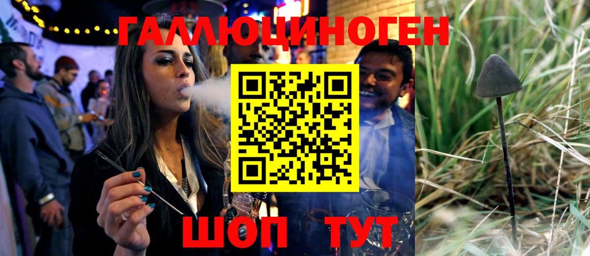 Бирск  Псилоцибиновые грибы мухоморы  Галлюциногенные грибы MAGIC MUSHROOMS  Вход с VPN 
